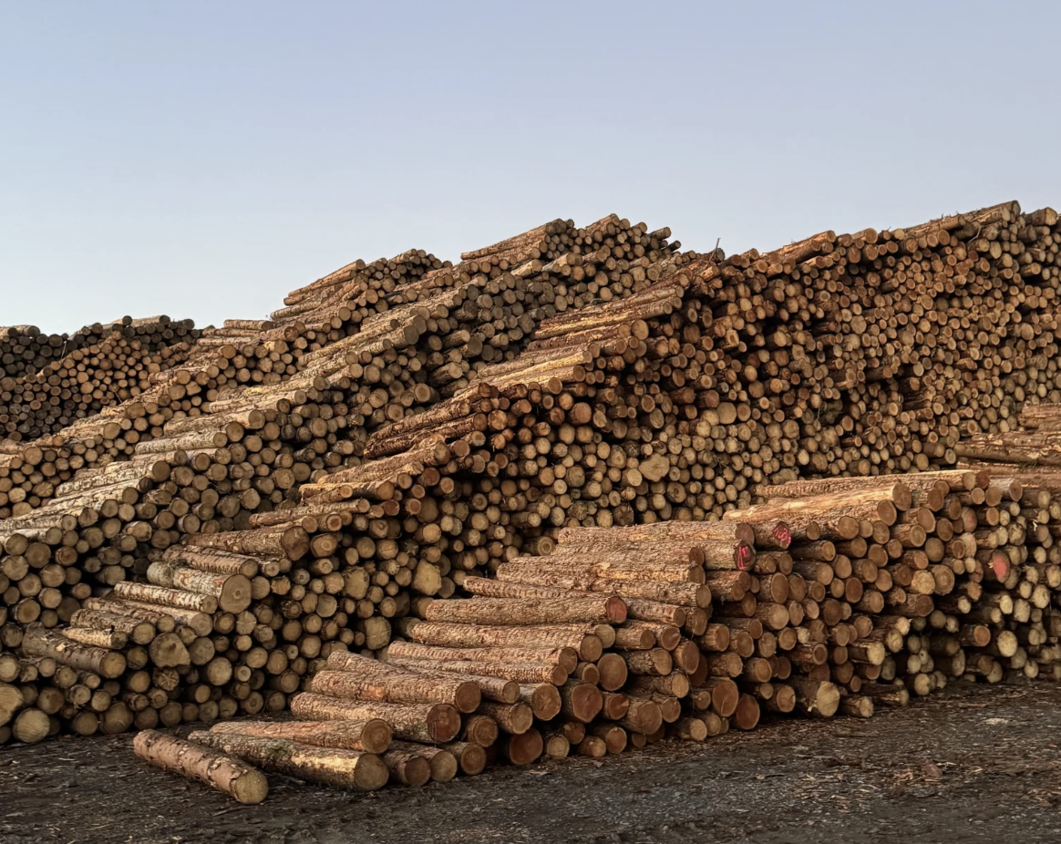 Bois de structure