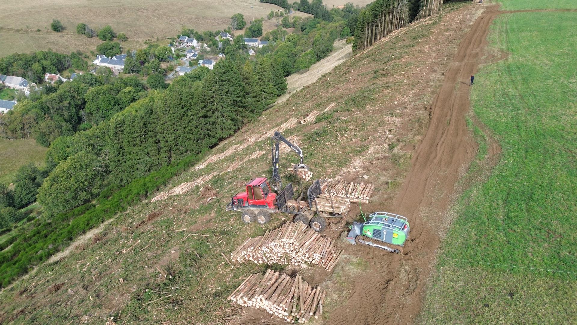 Porteur forestier en pente — Exploitation Forestière